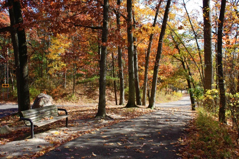 Reeds Lake Trail